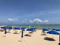 ANAインターコンチネンタル石垣リゾートの写真・動画_image_157838