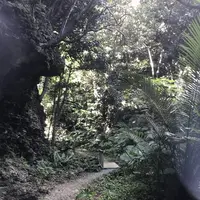 青の洞窟の写真・動画_image_157893