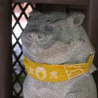 深川神社の写真・動画_image_157981