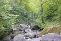 阿弥陀ケ滝の写真・動画_image_158151