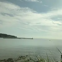 加太・友ケ島の写真・動画_image_158161