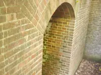 加太・友ケ島の写真・動画_image_158162