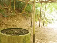 加太・友ケ島の写真・動画_image_158167