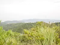 加太・友ケ島の写真・動画_image_158168