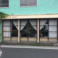 ｓｐｉｃｅｔｒｅｅの写真・動画_image_158435