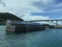 阿嘉港の写真・動画_image_158847