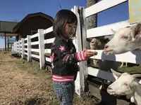 うぶやま牧場の写真・動画_image_158964