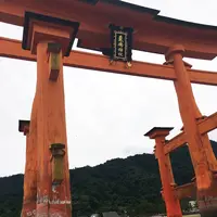 厳島神社の写真・動画_image_159079