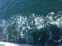 家老渡フェリー乗り場の写真・動画_image_159219