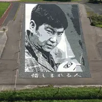 田んぼアートの写真・動画_image_159355
