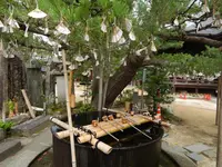 智恩寺の写真・動画_image_159361