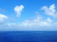 御蔵島の写真・動画_image_159490