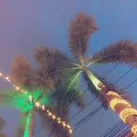 バンコクの写真・動画_image_159522