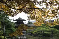 平安神宮の写真・動画_image_159528