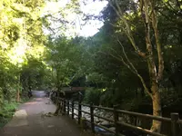 河津七滝の写真・動画_image_159561