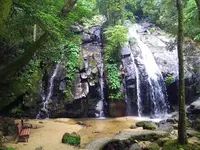 金引の滝の写真・動画_image_159988