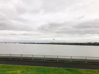 京浜島つばさ公園の写真・動画_image_159997