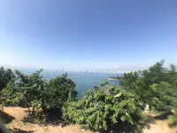 レディブッダの写真・動画_image_160026