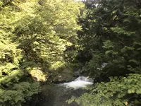 鷹ノ巣山の写真・動画_image_160171