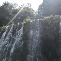 山中湖花の都公園の写真・動画_image_160183