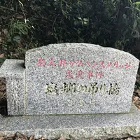 塩郷の吊り橋の写真・動画_image_160215