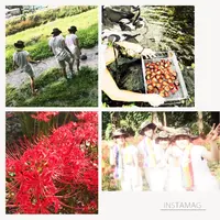 腰越の写真・動画_image_160233