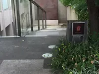 ダンディゾン（Dans Dix ans）の写真・動画_image_160287