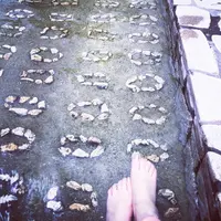 万葉公園の写真・動画_image_160300