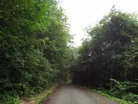 慰霊の森の写真・動画_image_160326