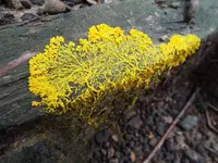 慰霊の森の写真・動画_image_160328