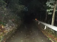 慰霊の森の写真・動画_image_160334