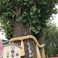 川越八幡宮の写真・動画_image_160390
