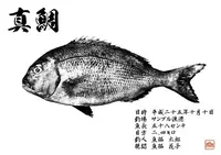 市ヶ谷フィッシュセンターの写真・動画_image_160395