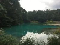 五色沼の写真・動画_image_160474