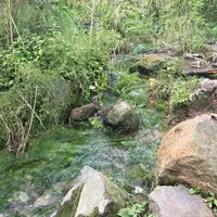 五色沼の写真・動画_image_160476