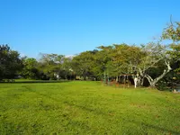 大池遊園の写真・動画_image_160532