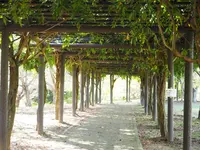 四季の郷公園の写真・動画_image_160948