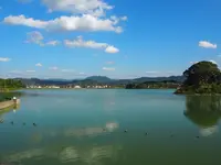 平池緑地公園の写真・動画_image_160963