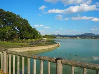 平池緑地公園の写真・動画_image_160964
