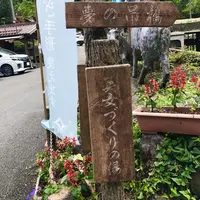 夢の吊橋の写真・動画_image_161073