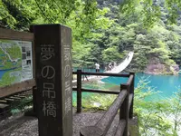 夢の吊橋の写真・動画_image_161074