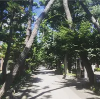 浄真寺の写真・動画_image_161525