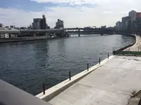 両国橋の写真・動画_image_161606