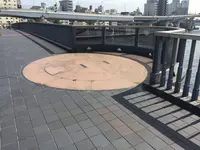 両国橋の写真・動画_image_161607