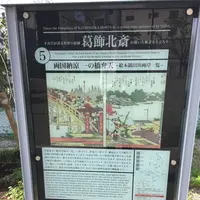 両国橋の写真・動画_image_161609