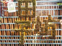 田子坊（Tianzifang）の写真・動画_image_161635