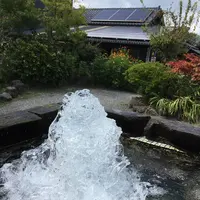 ヒバリカフェの写真・動画_image_161706