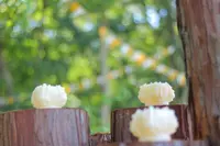 OrkPark（オークパーク）の写真・動画_image_161780