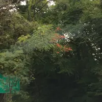 日本ロマンチック街道の写真・動画_image_161921