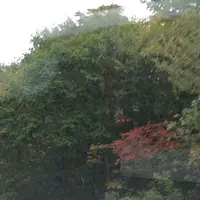 日本ロマンチック街道の写真・動画_image_161927